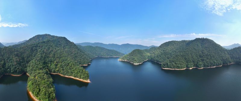 江西泰和：森林公园美如画