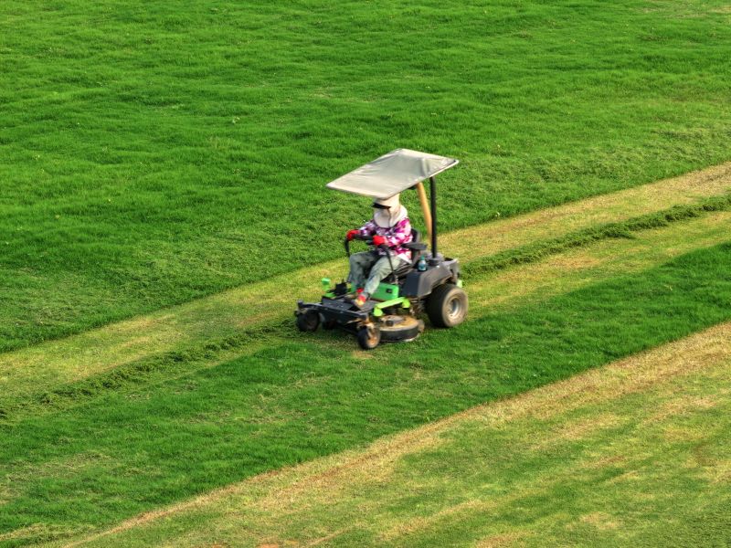 江西泰和:草皮整修管护忙