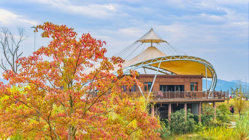 【视频】江西峡江：金坪蝴蝶泉 秋韵醉游人