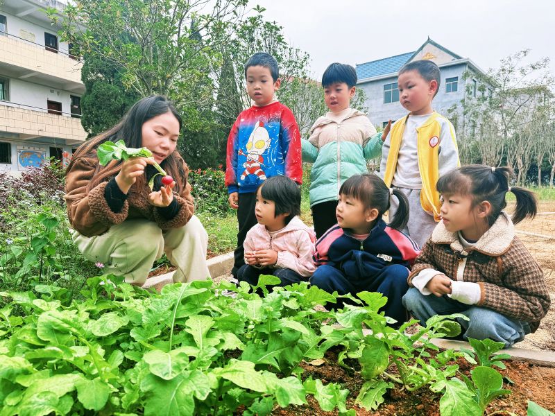 江西永新：萌娃体验农事 收获成长