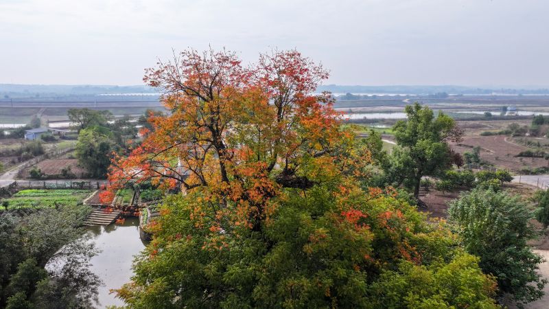 江西吉水：燕坊初冬 美不胜收