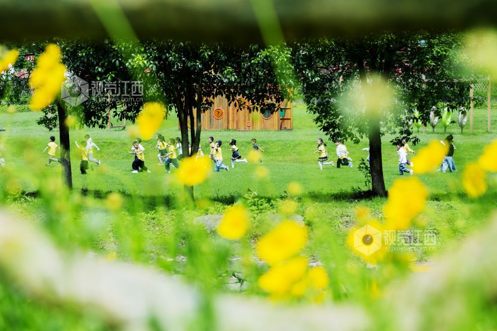 5月8日，在江西省新余市渝水区良山镇下保村，小朋友在格桑花海中拍照打卡。